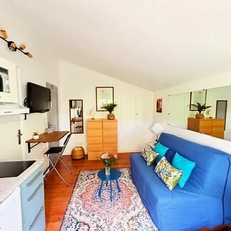 Le Refuge Du Pic In Apartment *